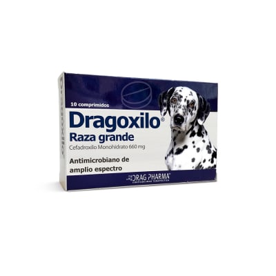 DRAGOXILO 660 MG