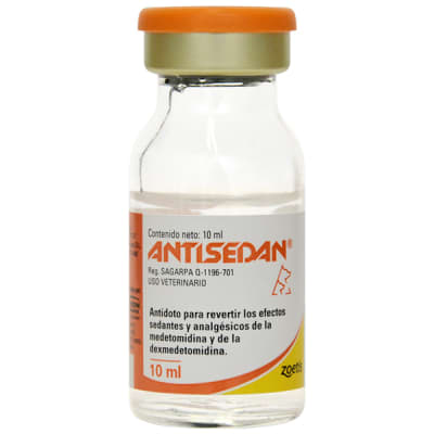 ANTISED - 10 ML