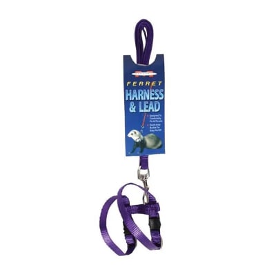 ARNES CON CORREA HURON MORADO