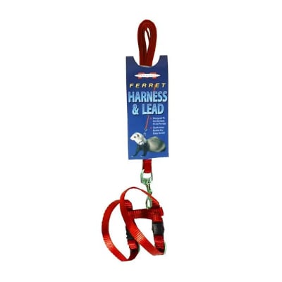 ARNES CON CORREA HURON ROJO