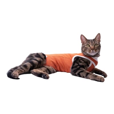 VET BODY COBRE TRADICIONAL TALLA 1