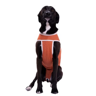 VET BODY COBRE TRADICIONAL TALLA 11