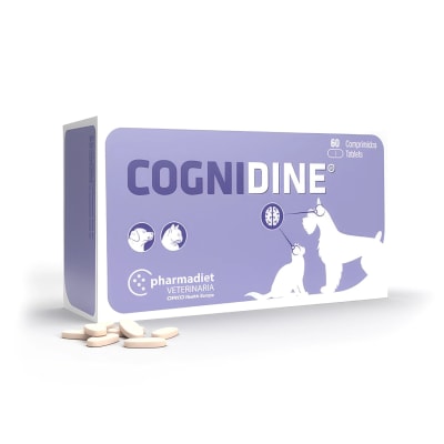 COGNIDINE PERRO Y GATO 60 COMP