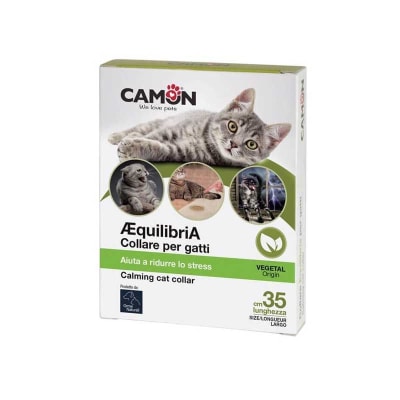 COLLAR GATO EQUILIBRA