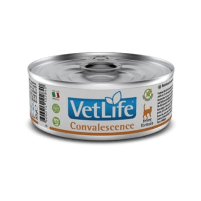 VET LIFE WF CAT CONVALESCENCE 85 grs
