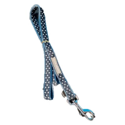 CORREA DOG ELEGANCE AZUL 15x1200 MM