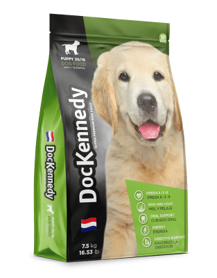 DOC KENNEDY PUPPY 7,5 KG