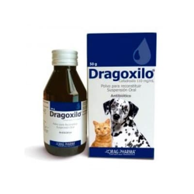 Dragoxilo Suspension Oral
