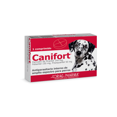 Canifort 1 Comp