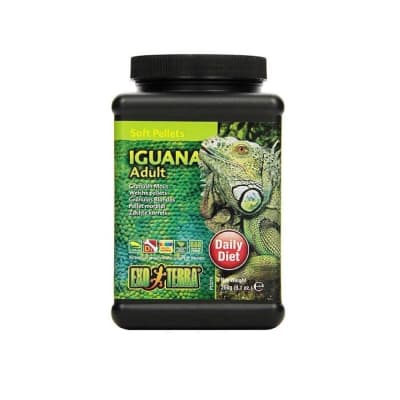 EXO TERRA ALIMENTO IGUANA ADULTA 260 GR
