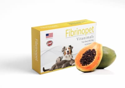 FIBRINOPET 300MG 10 COMP