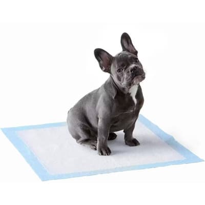 SABANILLAS PARA PERROS 60x60 CM