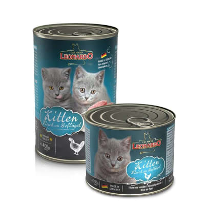 LEONARDO QUALITY SELECTION KITTEN LATA