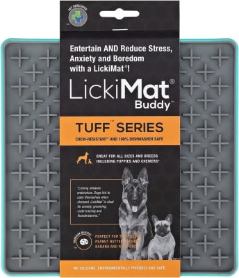 LM BUDDY TUFF TURQUOISE FOR DOG