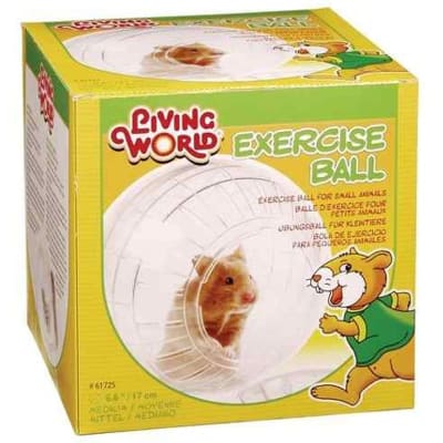 LIVING WORLD BOLA DE EJERCICIO GRANDE