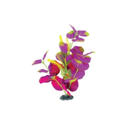 MARINA NATURALS PLANTA SEDA INDIGO Y ROJO MEDIUM