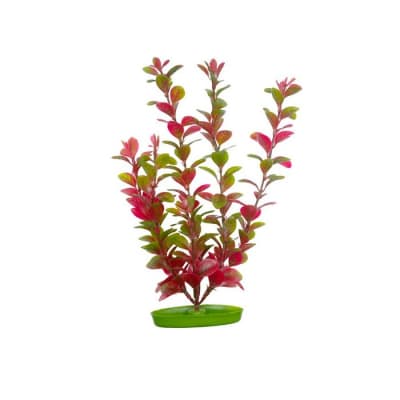 MARINA AQUASCAPER PLANTA LUDWIGIA ROJA  30CM