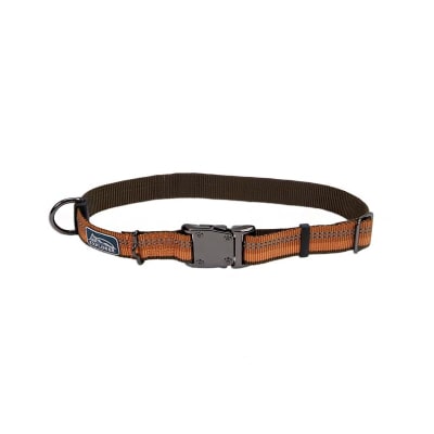 COASTAL K9 EXPLORER COLLAR NARANJA L