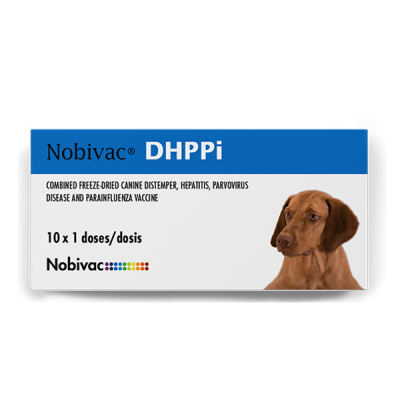 NOBIVAC DHPPI-LEPTO - CAJA 10 DOSIS