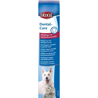 TX DENTAL CARE GEL, GEL PARA EL CUIDADO DENTAL, 100 gr