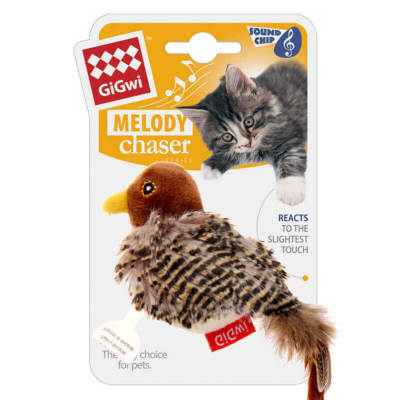 Pájaro 'Melody Chaser' sonido de pájaro y pluma