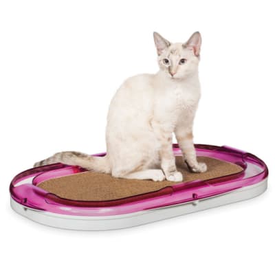 RACEWAY LOUNGER