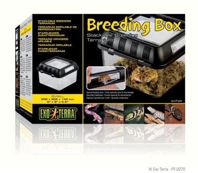 EXO TERRA CAJA CRIANZA SMALL