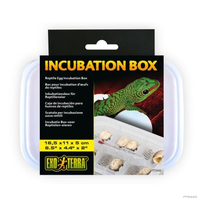 EXO TERRA CAJA DE INCUBACION