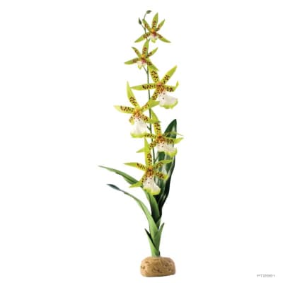 EXO TERRA DECORACION ORQUIDEA