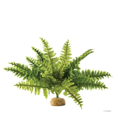 EXO TERRA HELECHO BOSTON FERN M