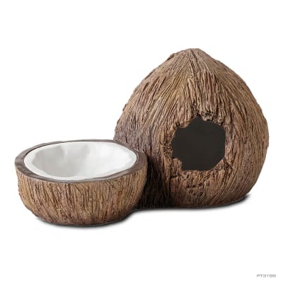 EXO TERRA GUARIDA Y PLATO AGUA COCONUT