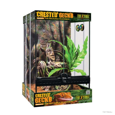 EXO TERRA KIT INICIO GECKO CRESTADO SMAL