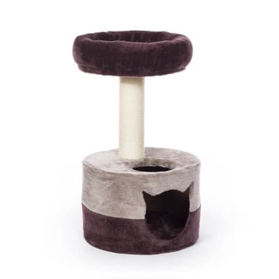 RASCADOR CON GUARIDA MORADO