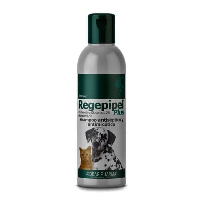 REGEPIPEL PLUS