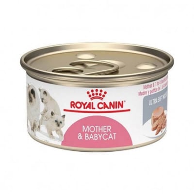 ROYAL CANIN MOTHER AND BABYCAT LATA 145 GR
