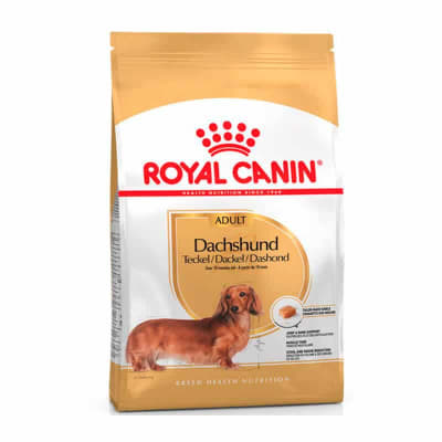 ROYAL CANIN DACHSHUND ADULTO 2.5KG