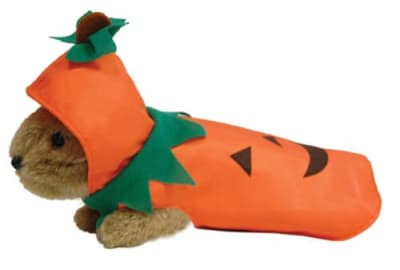 DISFRAZ HURON CALABAZA