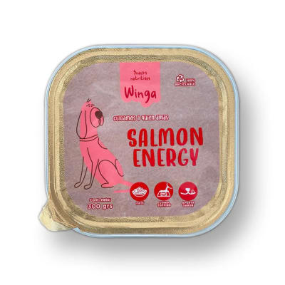 WINGA SALMON ENERGY