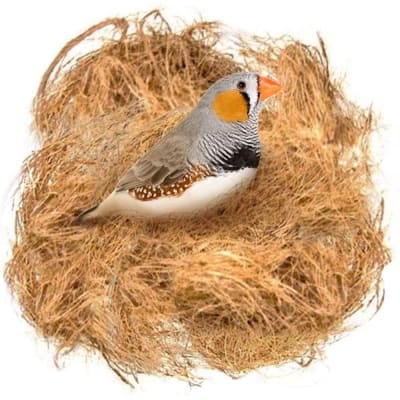 COCO BEDDING