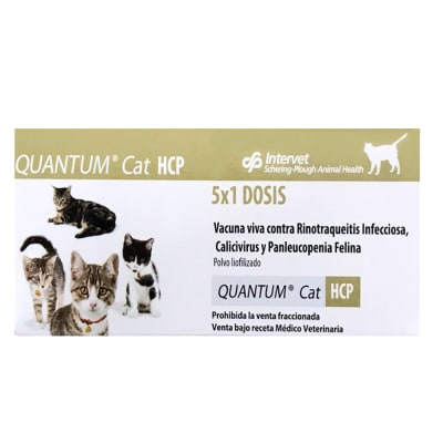 QUANTUM CAT HCP - 1 CAJA x 5 DOSIS