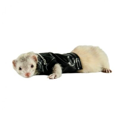 CHAQUETA HURON MOTOCICLISTA