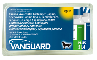 VANGUARD PLUS 5 L4 - 25 DS