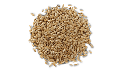 SEMILLA PARA CANARIOS (1 KG)