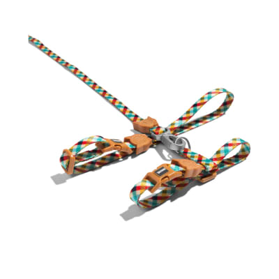 PHANTOM HARNESS + LEASH SET