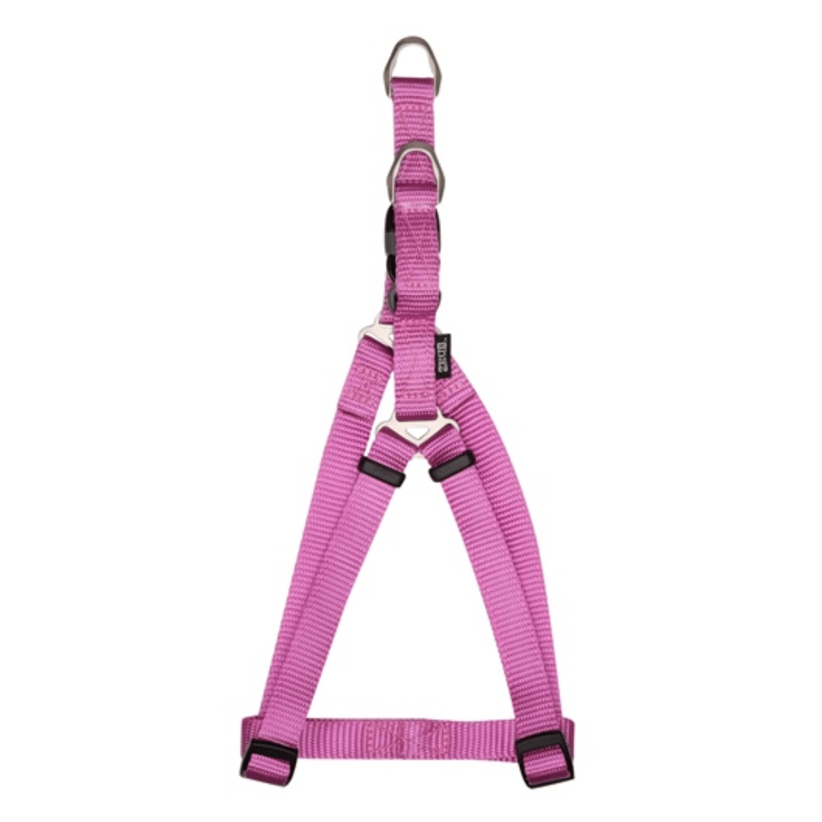 ZEUS ARNES FIG.A M FUCSIA1