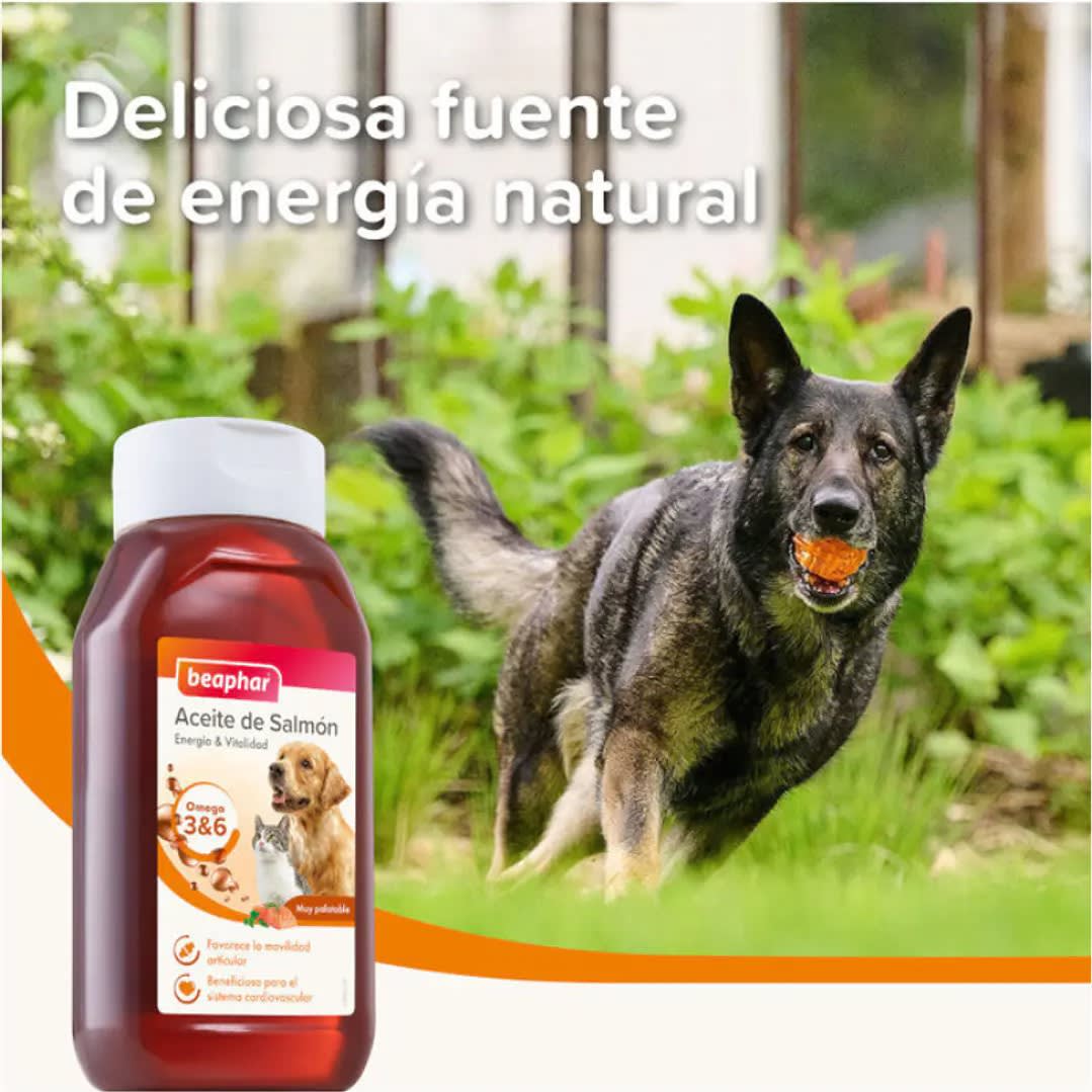 BEAPHAR ACEITE DE SALMON OMEGA 3 & 6 430 ML2