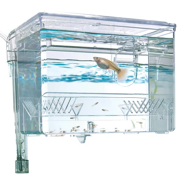 FLUVAL NACEDORA EN MANO - MEDIANO1