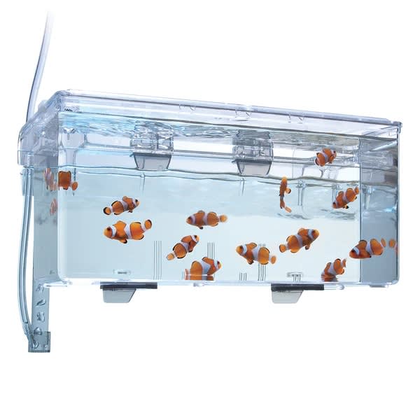 FLUVAL NACEDORA EN MANO - LARGE1