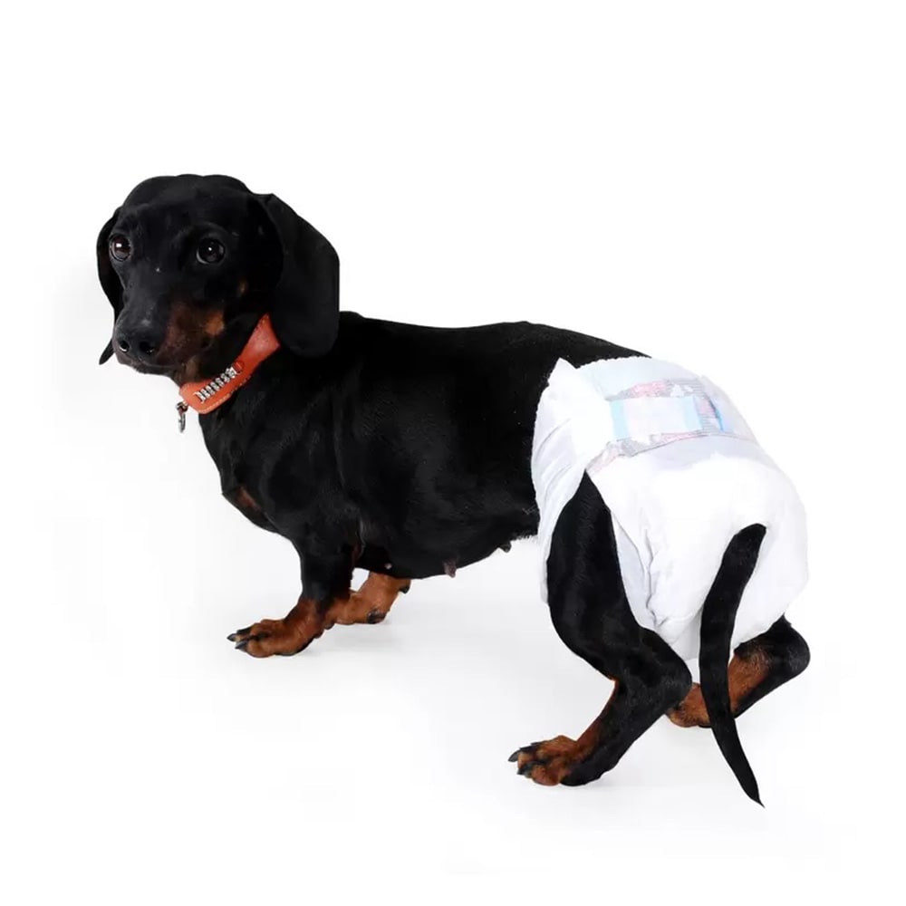 PAÑALES DESECHABLES PERROS 12UN - TALLA M(35/45CM)1