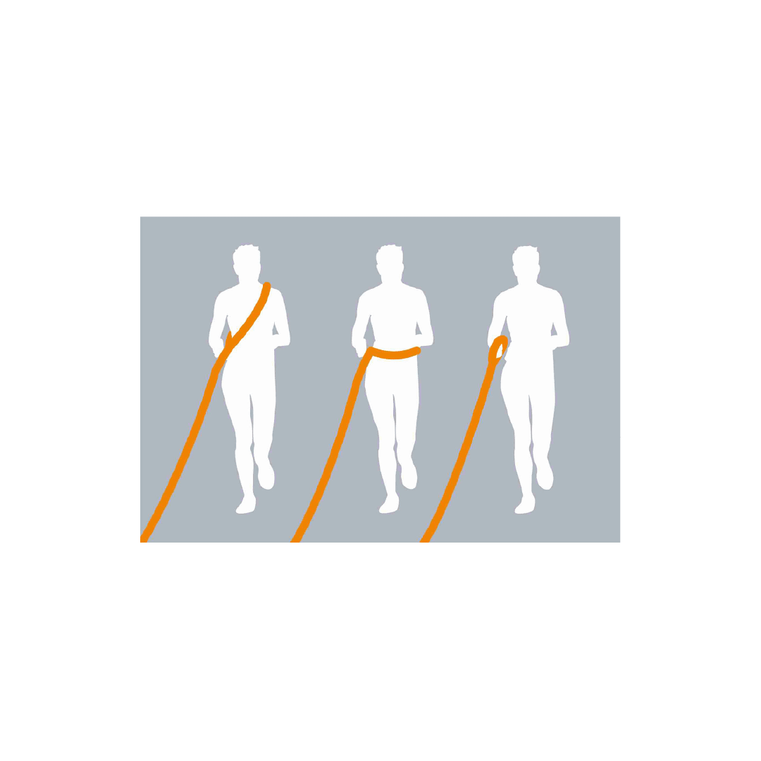 TX CORREA PARA CORRER C/PERRO, 133-180 cm/20 mm, GRIS/VERDE2